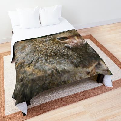 Adorable Curious Monkey