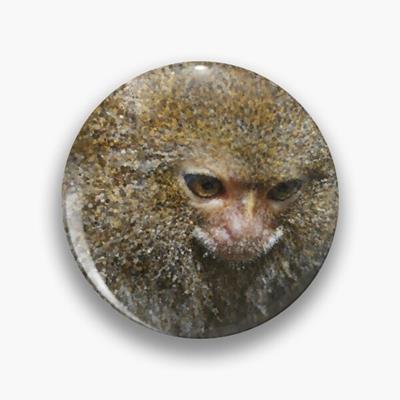 Adorable Curious Monkey