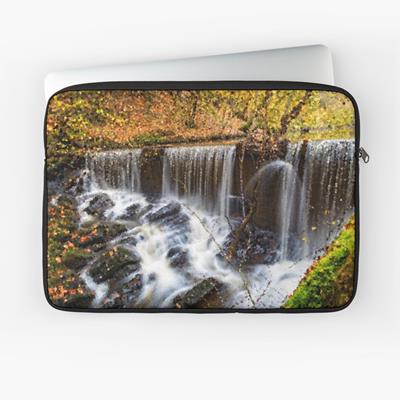 Autumn Forest and Stream