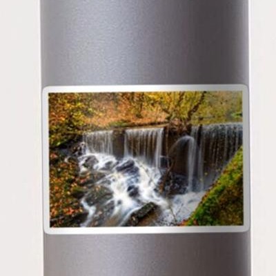 Autumn Forest and Stream