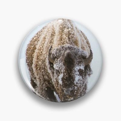 Bison in Snow