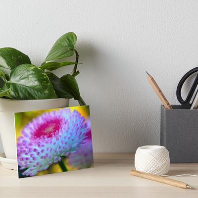 Blue and Purple Flower