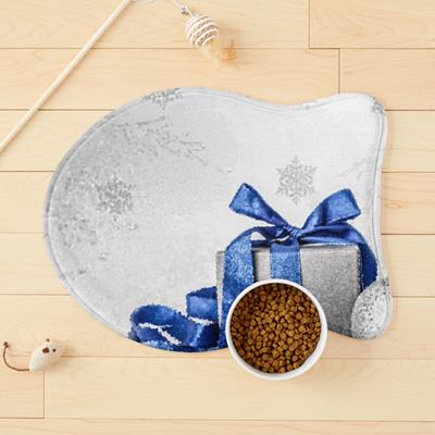 Blue and Silver Christmas Gift