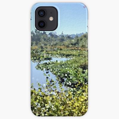 Boggy Stretch of Summer Creek