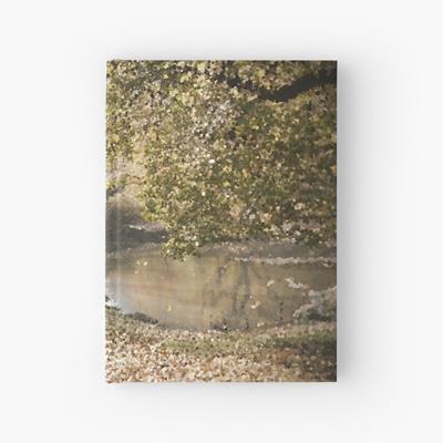 Bridge Over Pond In Autumn