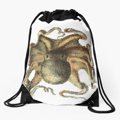 Brown Octopus