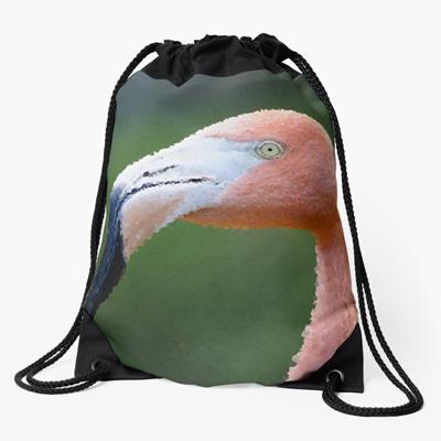 Bubbly Pink Flamingo