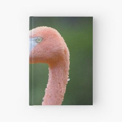 Bubbly Pink Flamingo