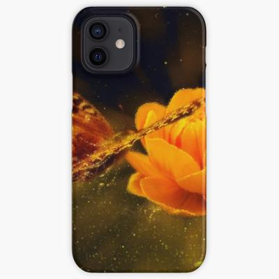 Butterfly Visiting Flower