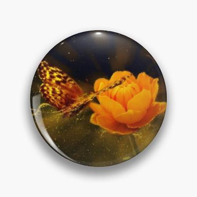 Butterfly Visiting Flower
