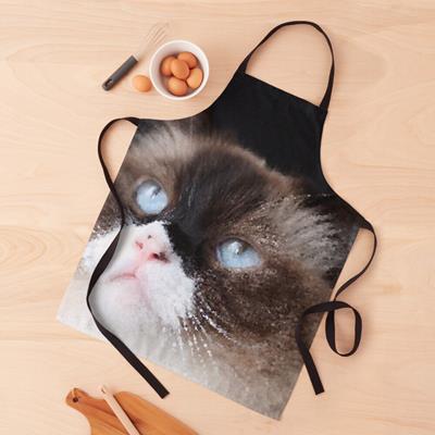 Curious Ragdoll Cat Face