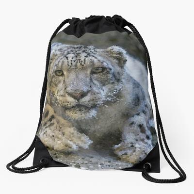 Curious Snow Leopard