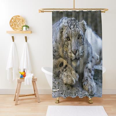 Curious Snow Leopard