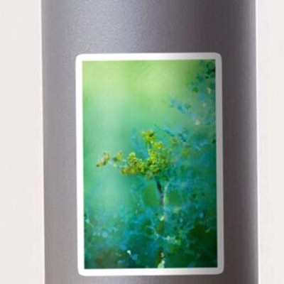 Green Dill
