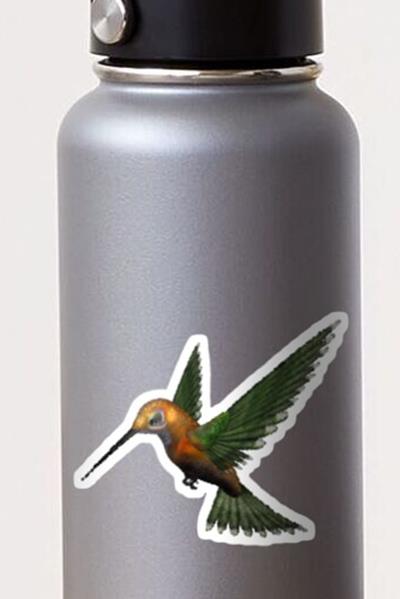 Green and Gold Hummingbird