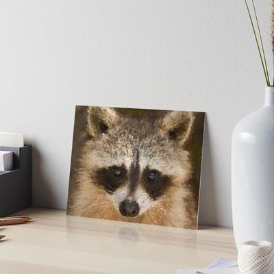 Happy Raccoon Face!