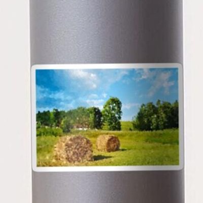 Hay Bales in Grassy Field