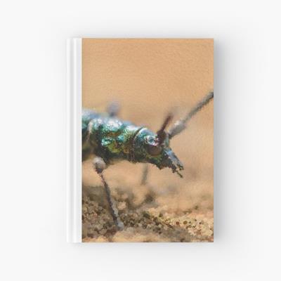 Iridescent Green Musk Beetle