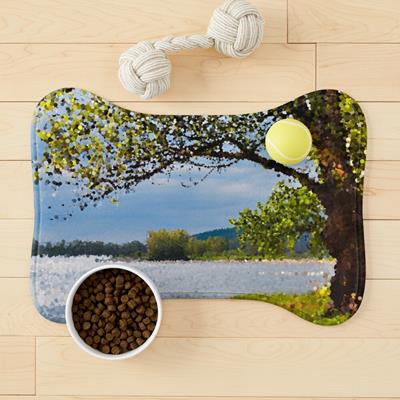 Leafy Tree on River Bank