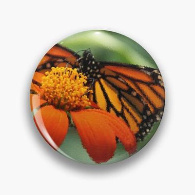 Monarch Butterfly and Flower