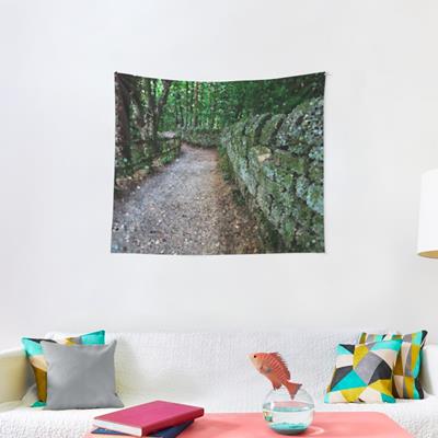 Mossy Stone Fenced Path Through the Woods