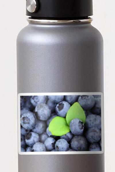 Perfect Plump Blueberries