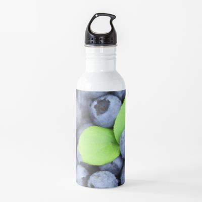 Perfect Plump Blueberries