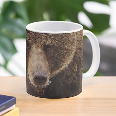 Probably Friendly Bear