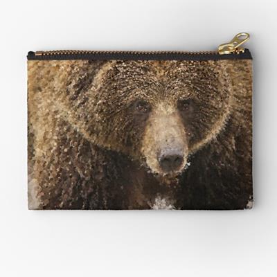 Probably Friendly Bear