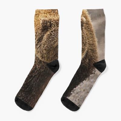 Probably Friendly Bear