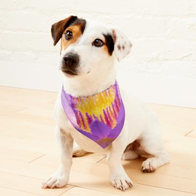 Purple Flower Blooming