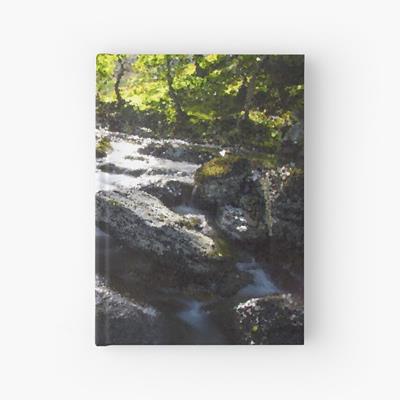 Rocky Forest Stream
