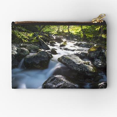 Rocky Forest Stream
