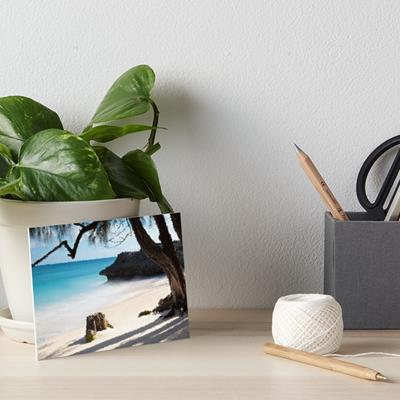 Rustic Beach Scene