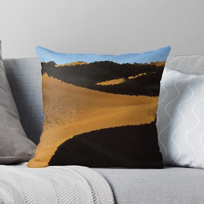 Sand Dunes in Shadow
