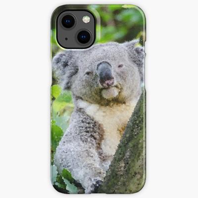 Sleepy Koala