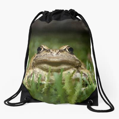 Slightly Judgmental Toad