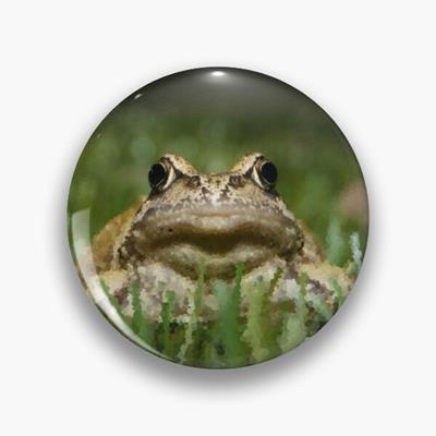 Slightly Judgmental Toad