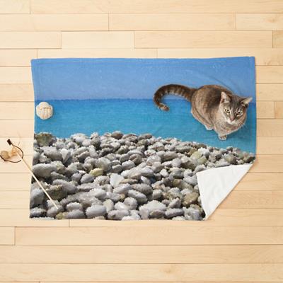 Stony Tropical Beach