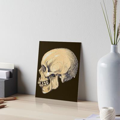 Stylized Skull in Profile