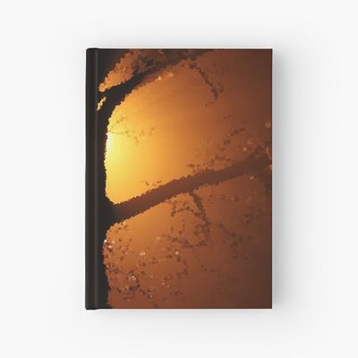 Sun Backlit Tree