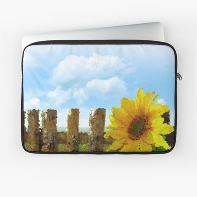 Sunny Sunflowers!