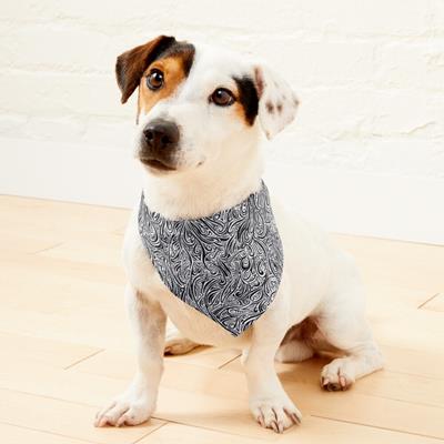 Swirling Abstract Line Art in Black and White