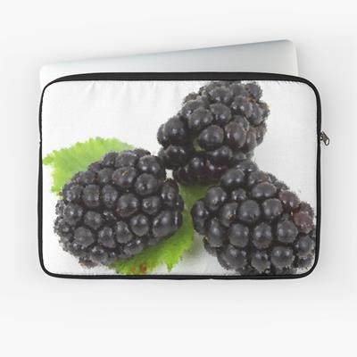 Three Perfect Blackberries