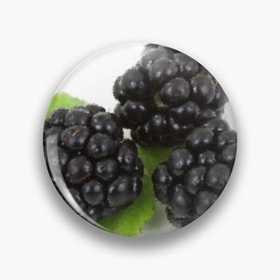 Three Perfect Blackberries