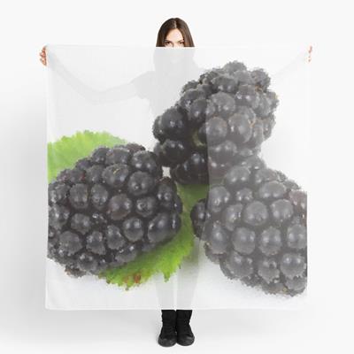 Three Perfect Blackberries