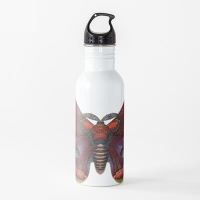 Vintage Style Butterfly