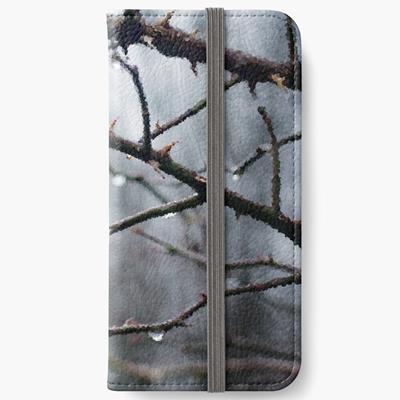Waterdrops on Bare Branches
