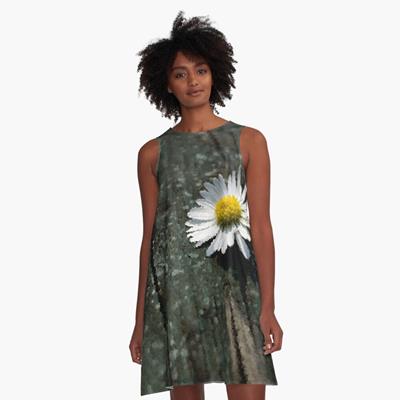 White Daisy on Wood Deck