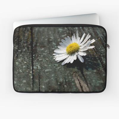 White Daisy on Wood Deck